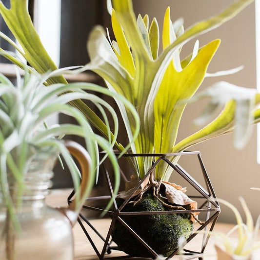 Artificial Faux Plant Staghorn Fern Décor