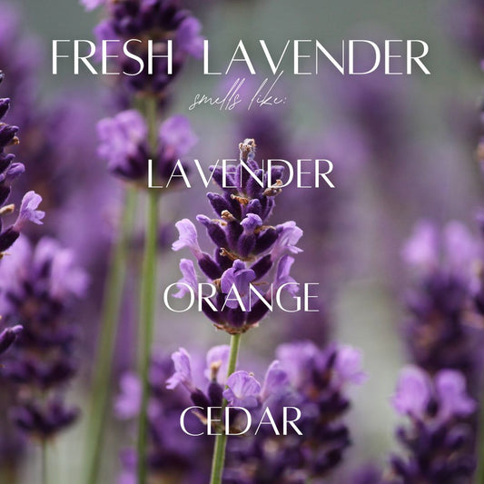 13 oz Mason Jar Soy Candle - Fresh Lavender