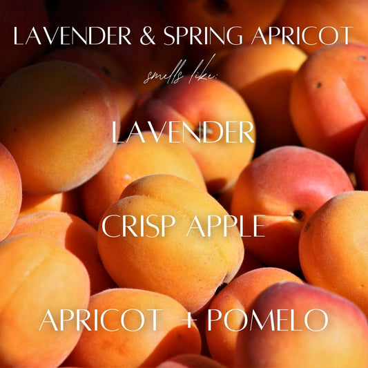 Lavender Spring Apricot - 7 Wick White Wood Dough Bowl Soy Candle