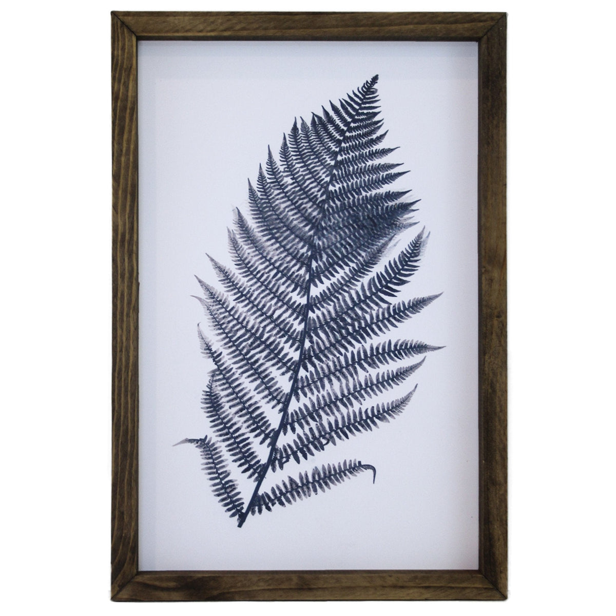 Blue Fern Framed Art
