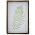 Green Fern Framed Art
