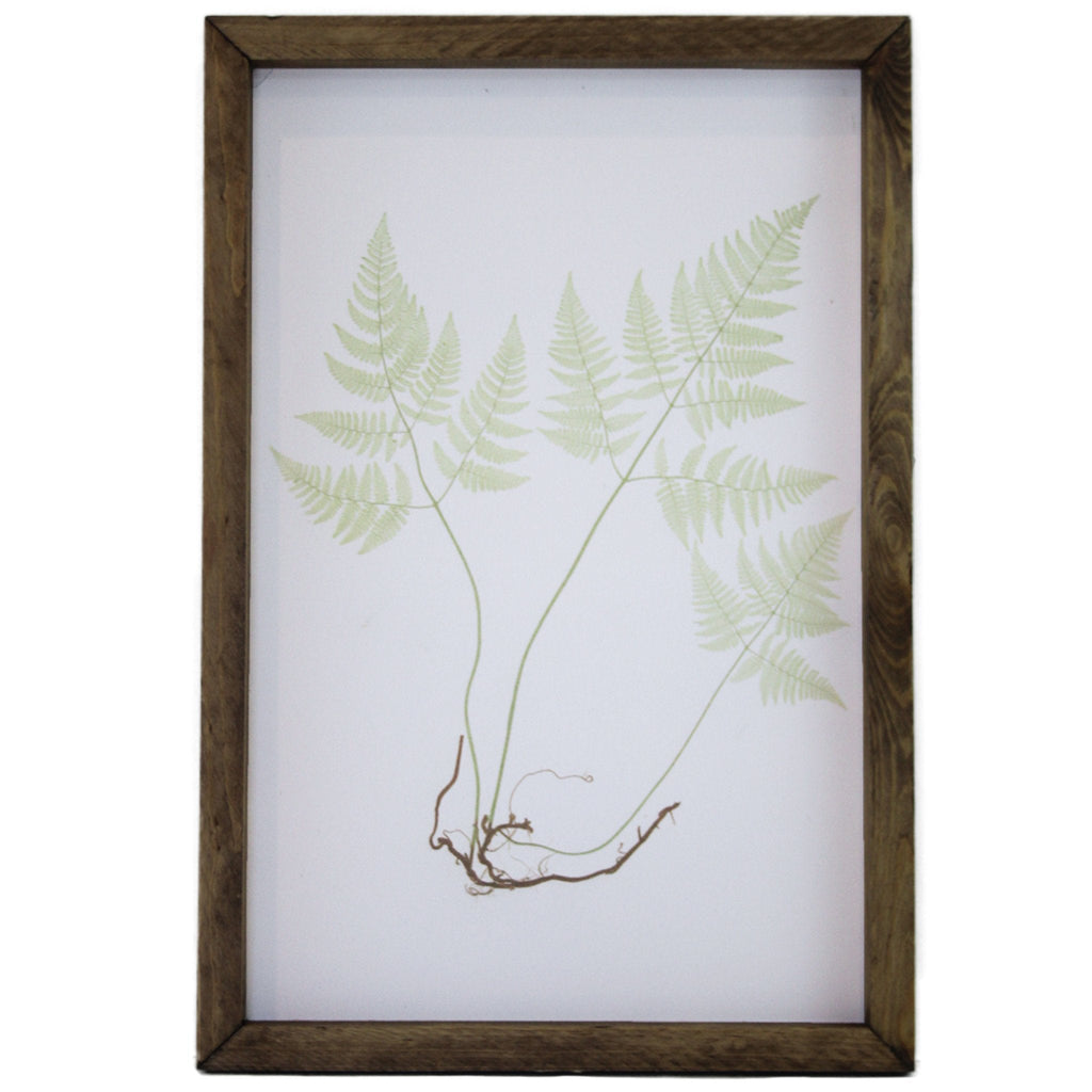 Green Sprig Framed Art