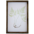 Green Sprig Framed Art