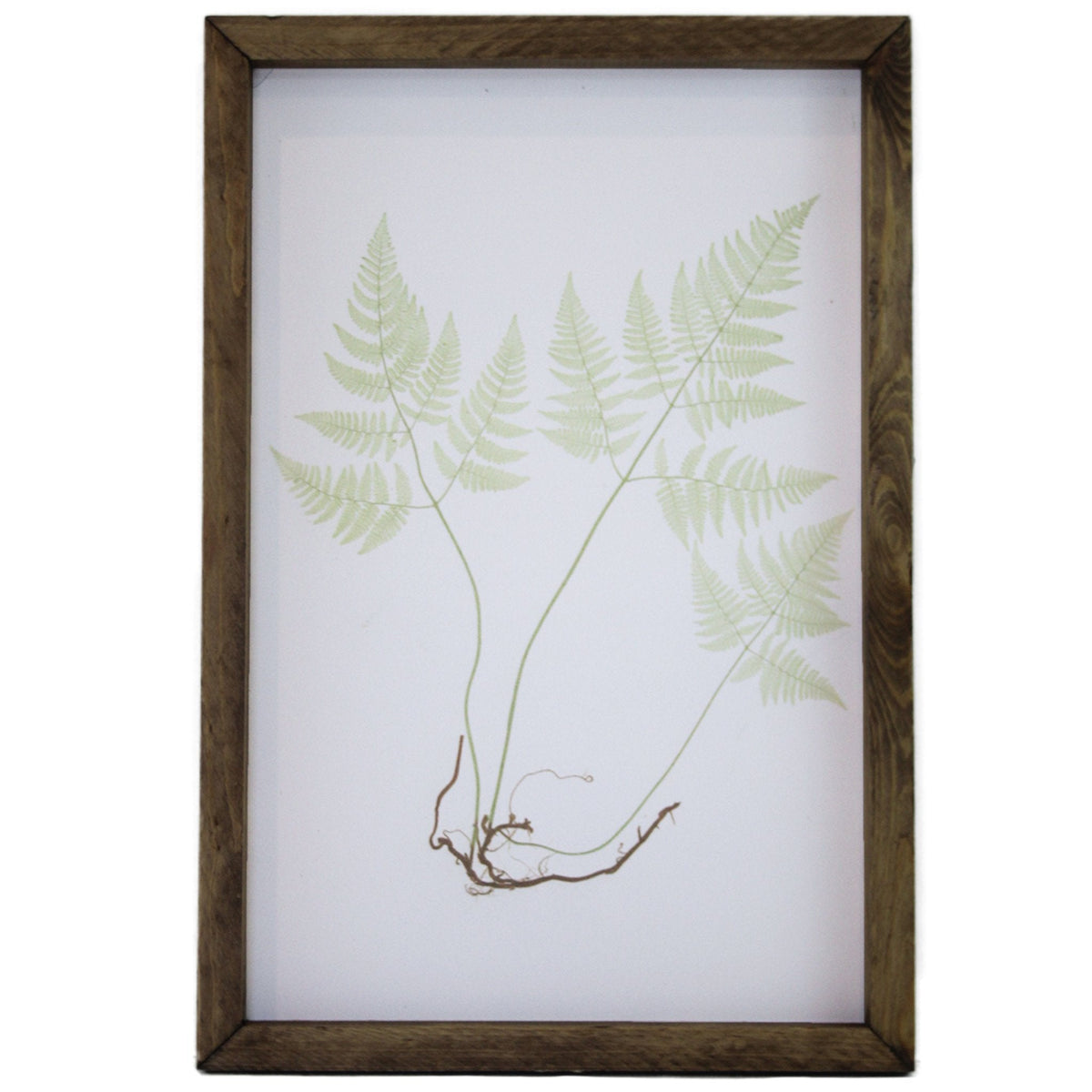 Green Sprig Framed Art