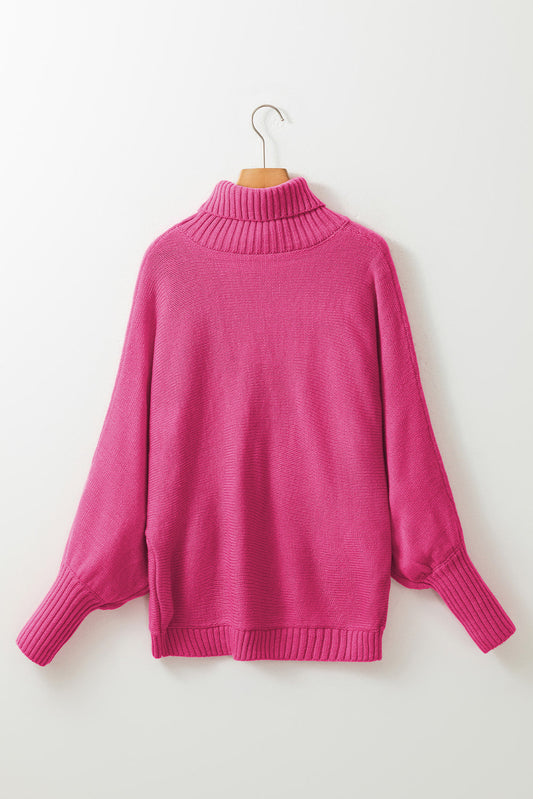 Merry Embroidered High Neck Sweater