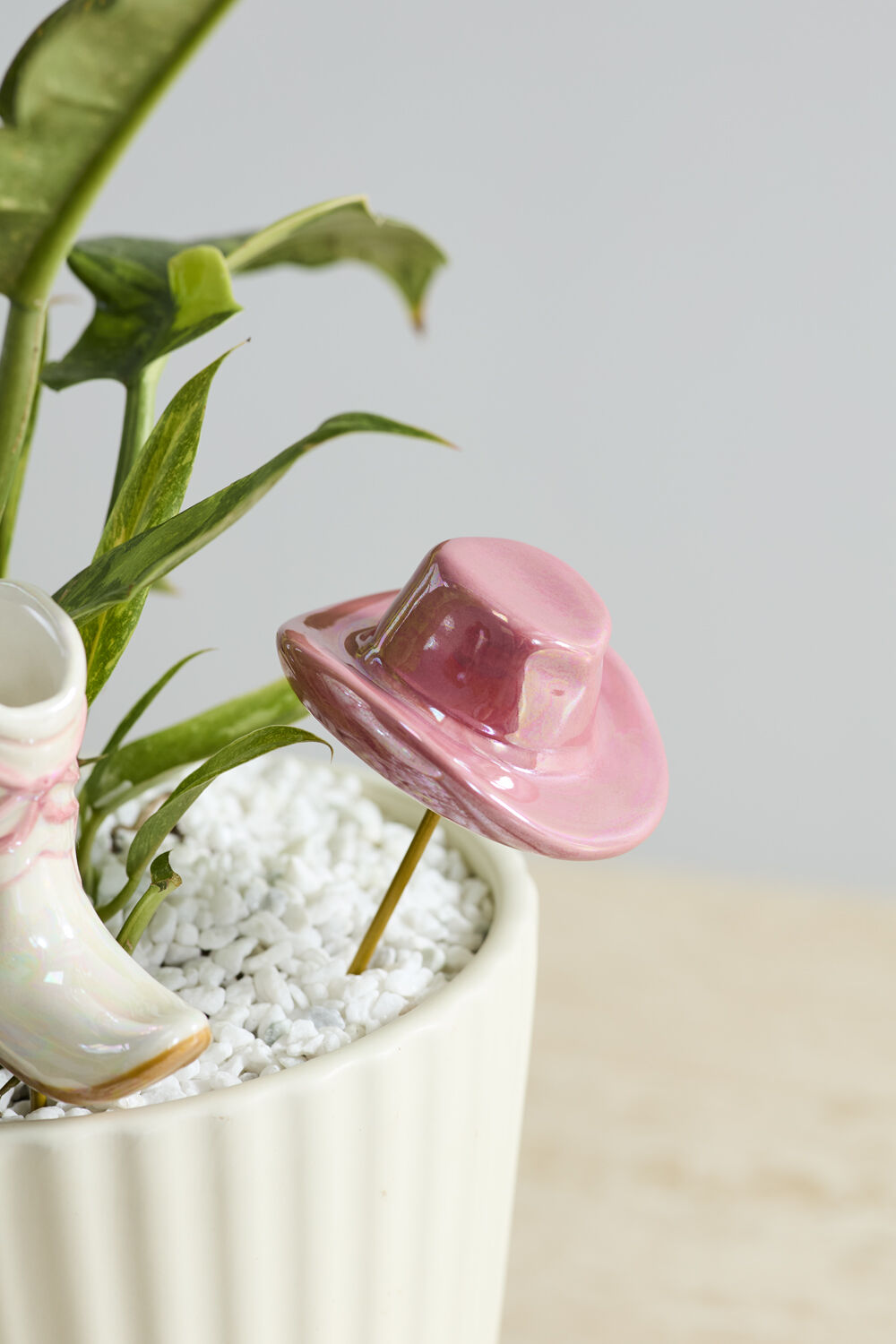 Giddy Up Plant Stick