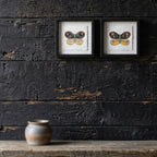 Framed Butterfly Block (Set of 2)