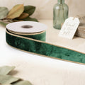 Velvet Wired Ribbon (Set of 2)