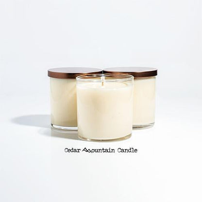 Grinch Christmas Undelivery 9 oz Jar Soy Candle - Winter Scents