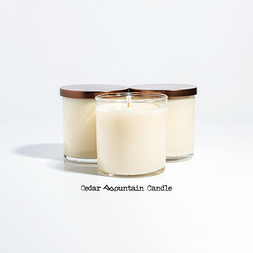 Elf Ninnymuggins 9 oz Jar Soy Candle - Winter Scents