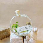 Botanical Reed Diffuser — 100 ml