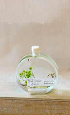 Botanical Reed Diffuser — 100 ml