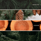 Christmas Tree Tinted Glass Jar Reed Diffuser