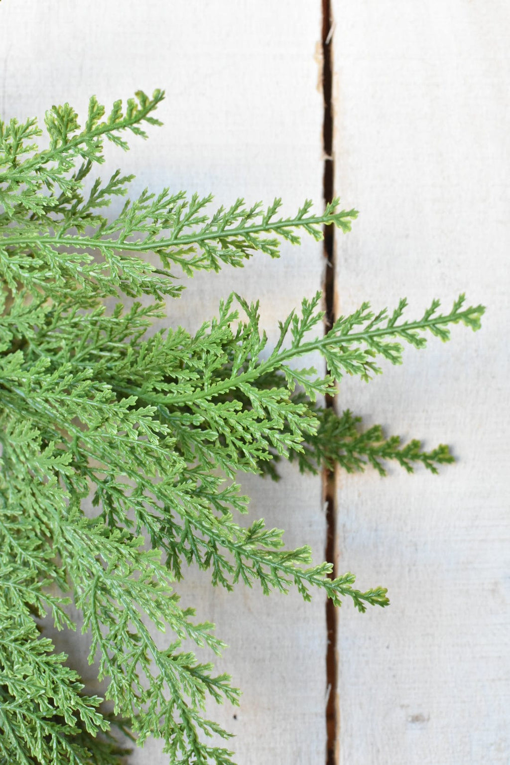 Cedar Wreath