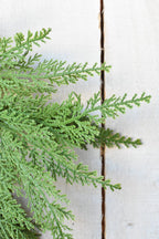Cedar Wreath