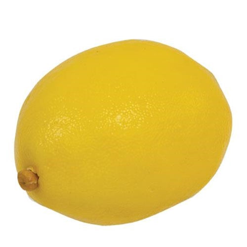 *5/Set Artificial Lemon Fillers