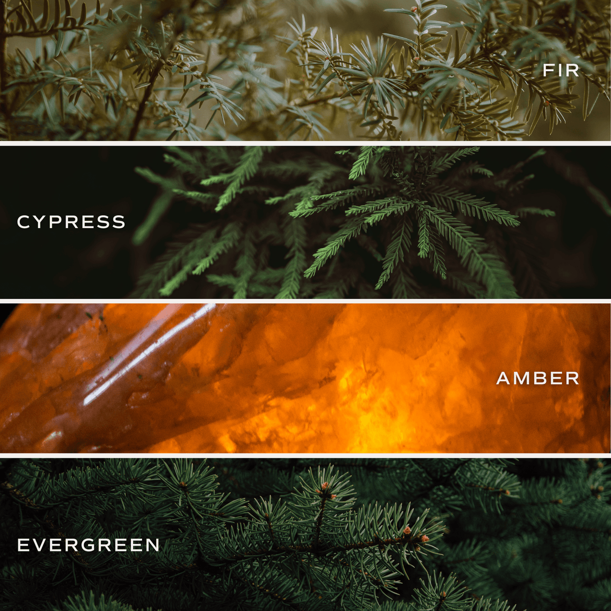 Holiday Cheer Soy Candle - 9 oz Patterned Clear Jar (Fraser Fir)