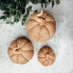 Basket Weave Pumpkins