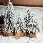 Snow Trees