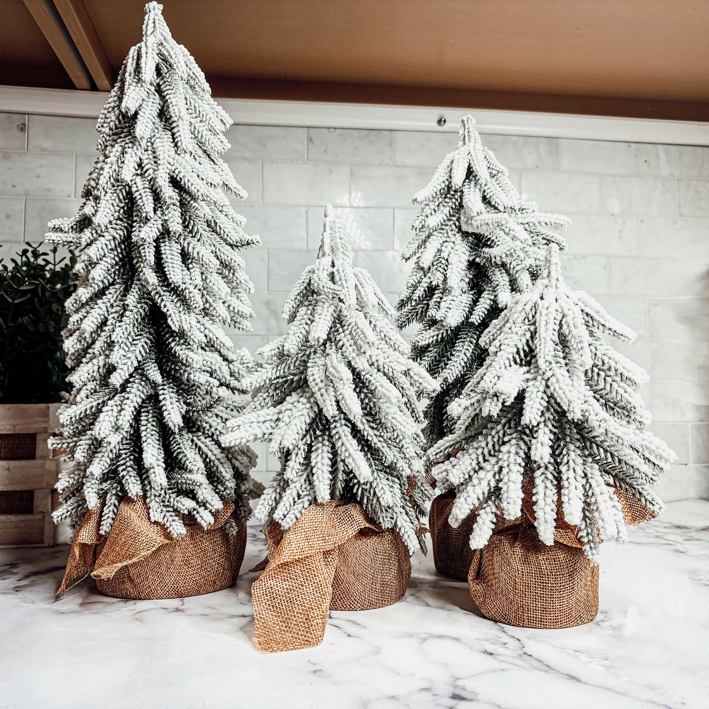 Snow Christmas Trees NEW