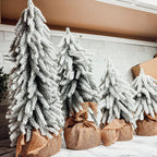 Snow Trees