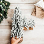 Snow Trees