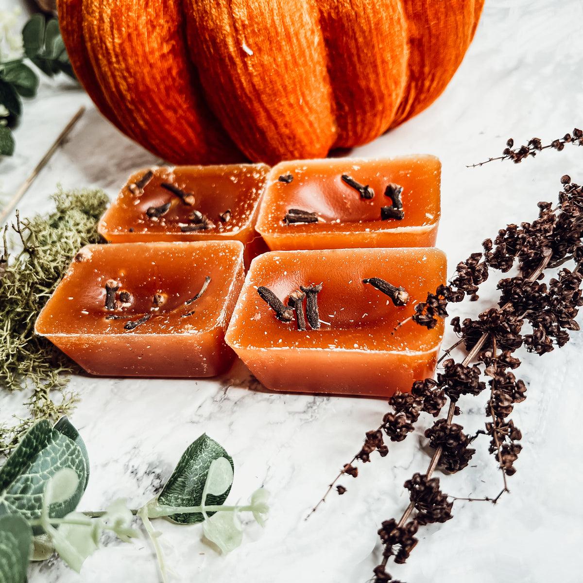 Orange Clove Wax Melts with Cinnamon