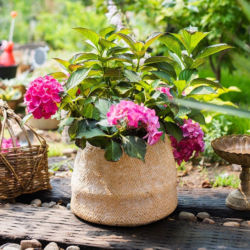 Cement Weaving Pattern Planter