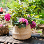 Cement Weaving Pattern Planter