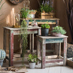 Solid Wood Plant Stand & Side Table