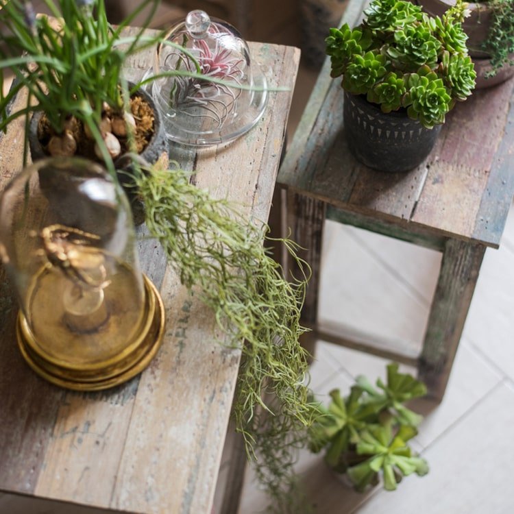Solid Wood Plant Stand & Side Table