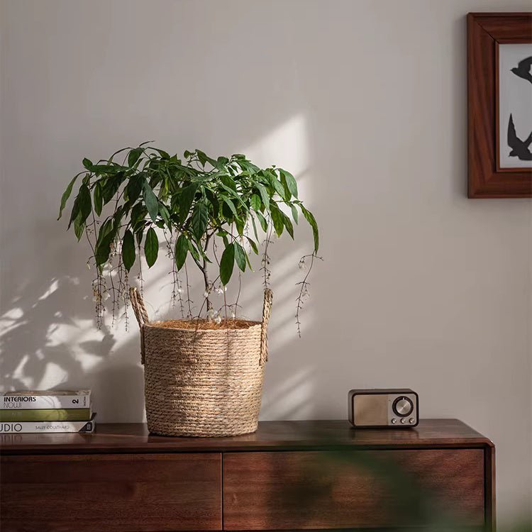Woven Seagrass Planter Basket