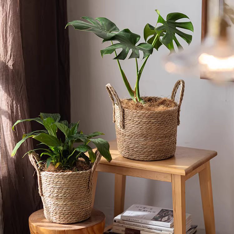 Woven Seagrass Planter Basket