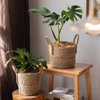 Woven Seagrass Planter Basket