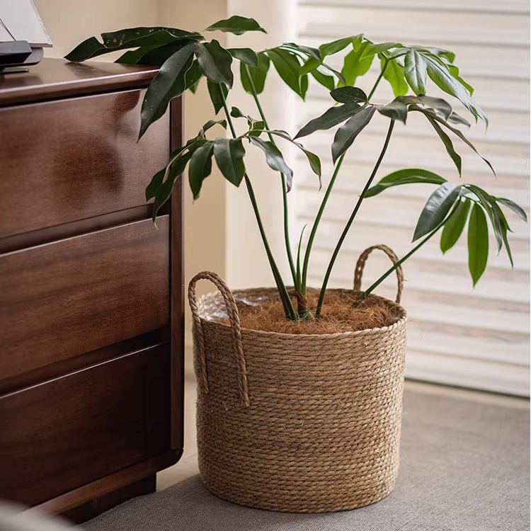 Woven Seagrass Planter Basket