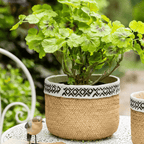 Patterned Rattan Cement Planter