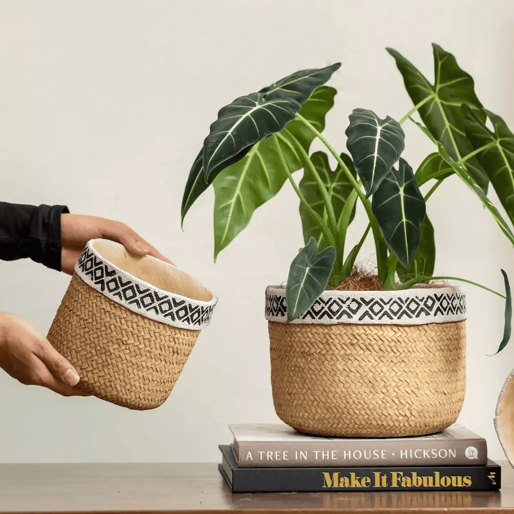Patterned Rattan Cement Planter