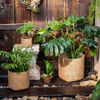 Textured Cement Planter