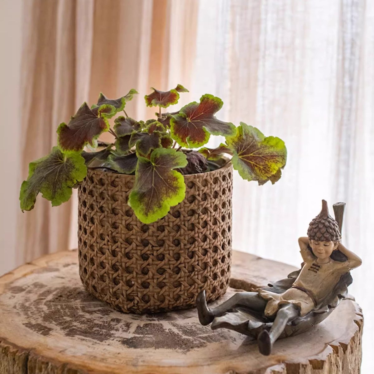 Textured Cement Planter
