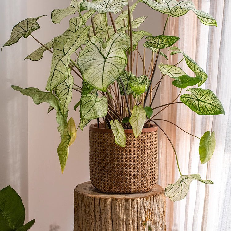 Textured Cement Planter