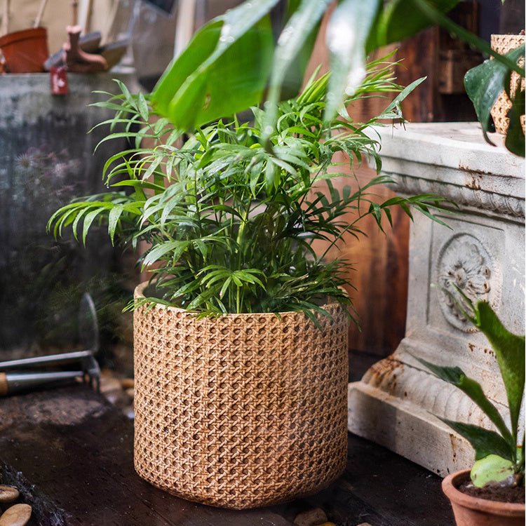 Textured Cement Planter