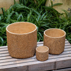 Textured Cement Planter