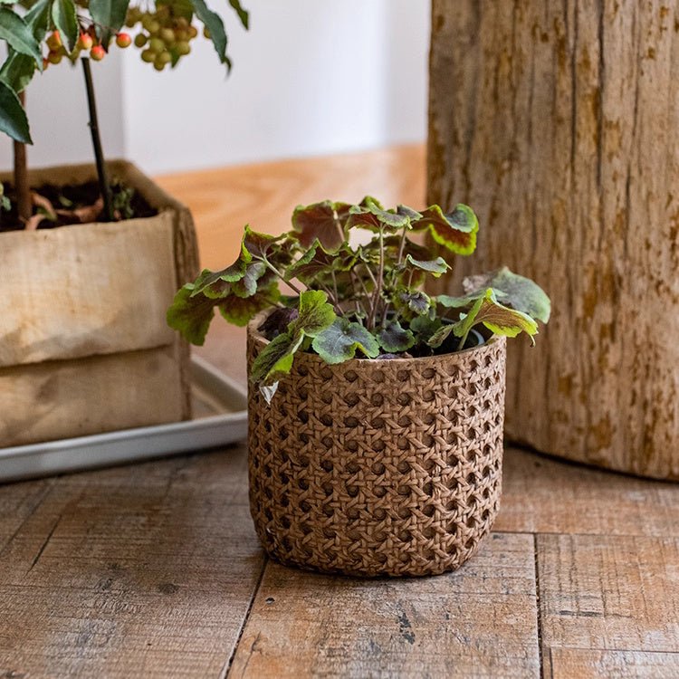 Textured Cement Planter