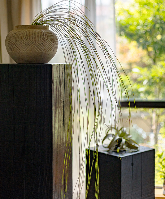 Artificial Rough Horsetail Thin Vine Ikebana