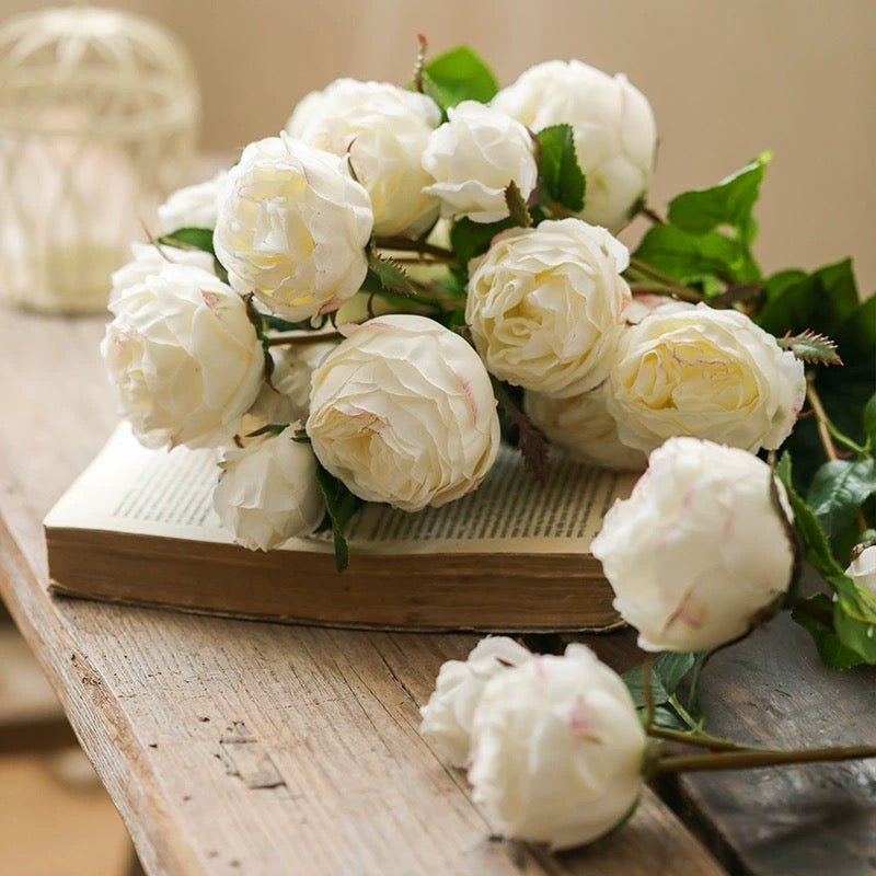 White Cabbage Rose Stem