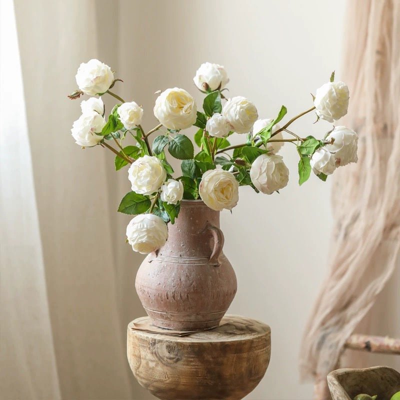 White Cabbage Rose Stem