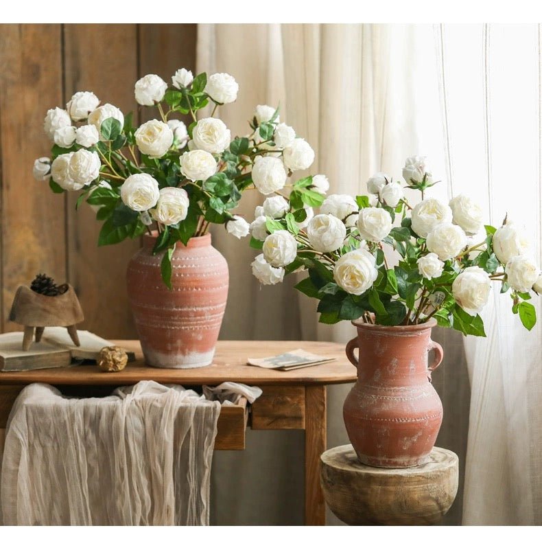 White Cabbage Rose Stem