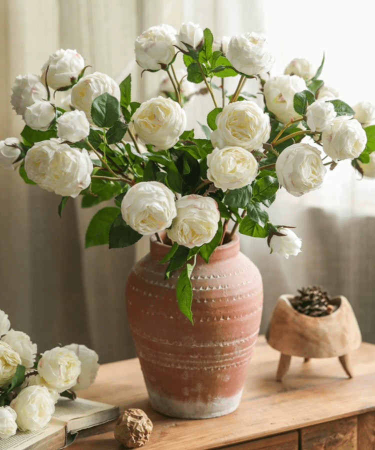 White Cabbage Rose Stem