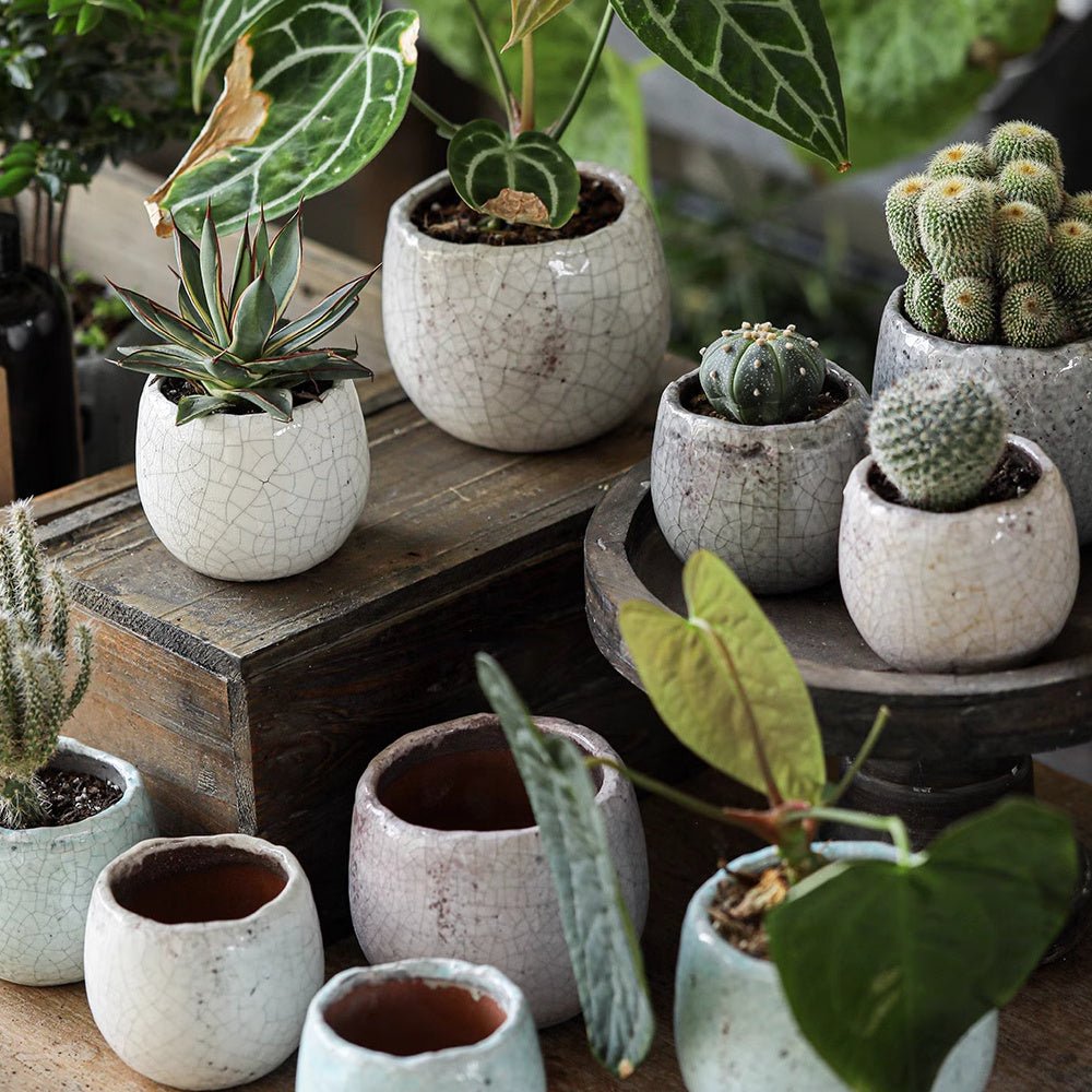 Petite Ceramic Planter Set