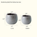 Petite Ceramic Planter Set